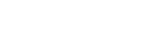 Origineel Z12 Pro logo